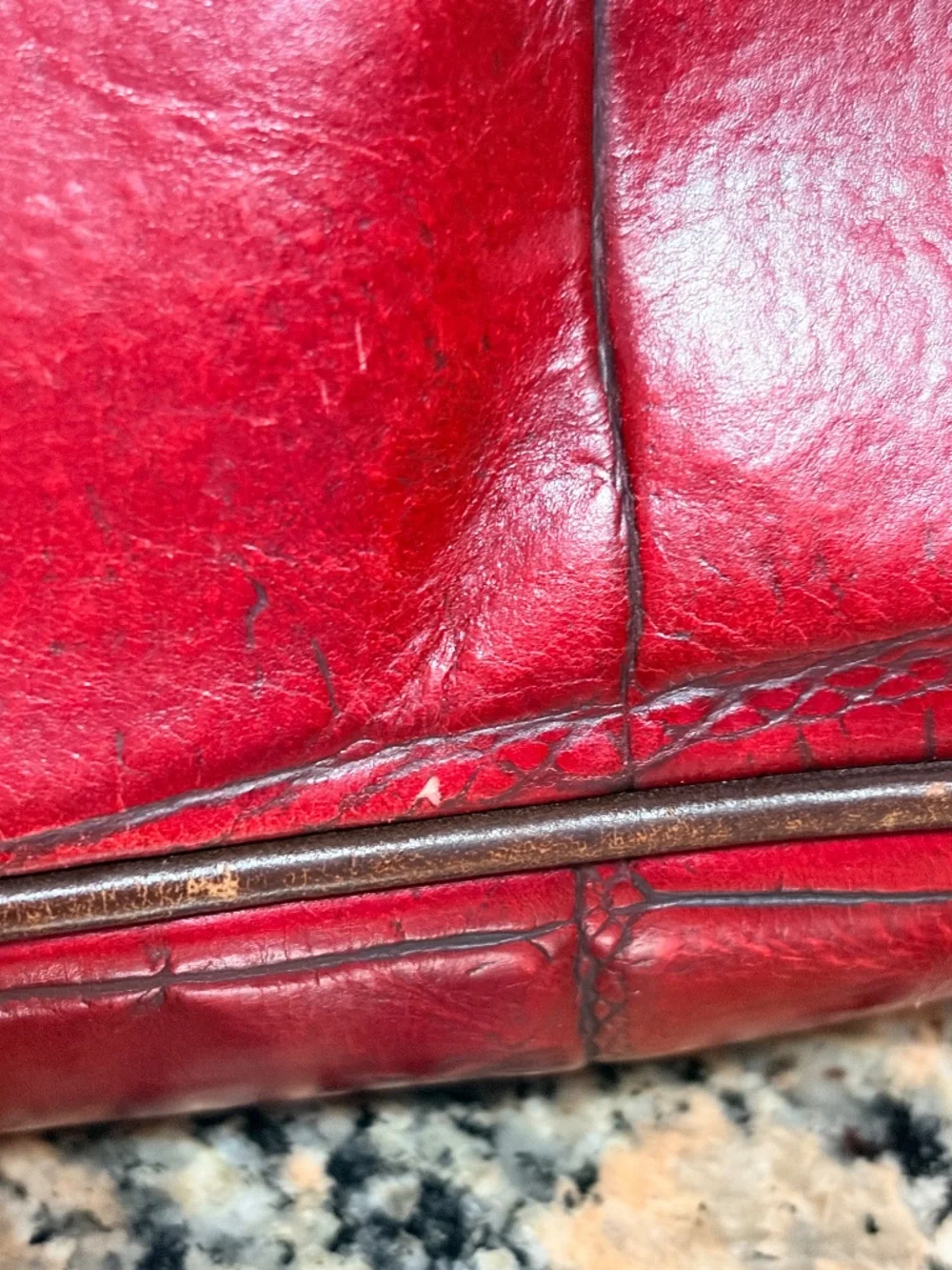 Dooney and Bourke Red Croc Bag